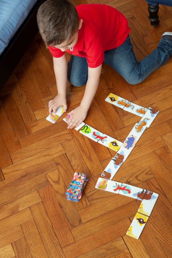 domino igra