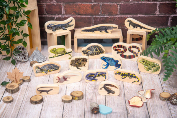 montessori